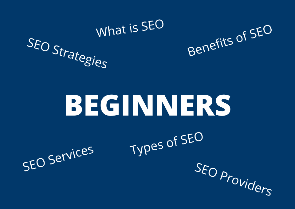 Beginner SEO questions