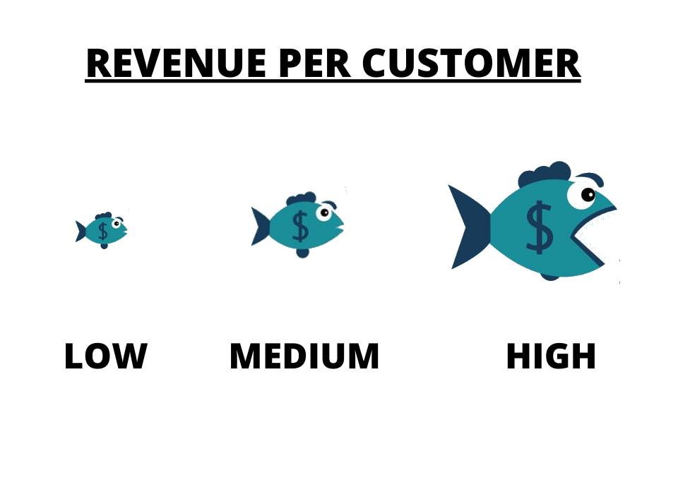 revenue per customer